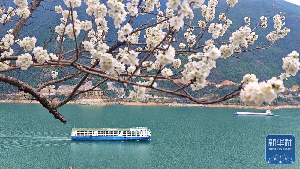 花开万里 共赴春光