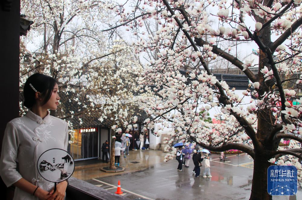 花开万里 共赴春光