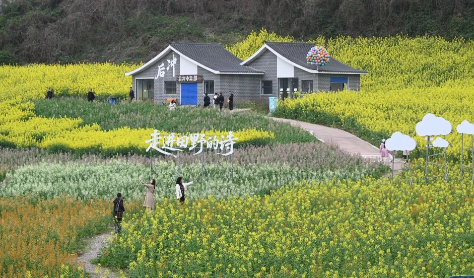 花开万里 共赴春光