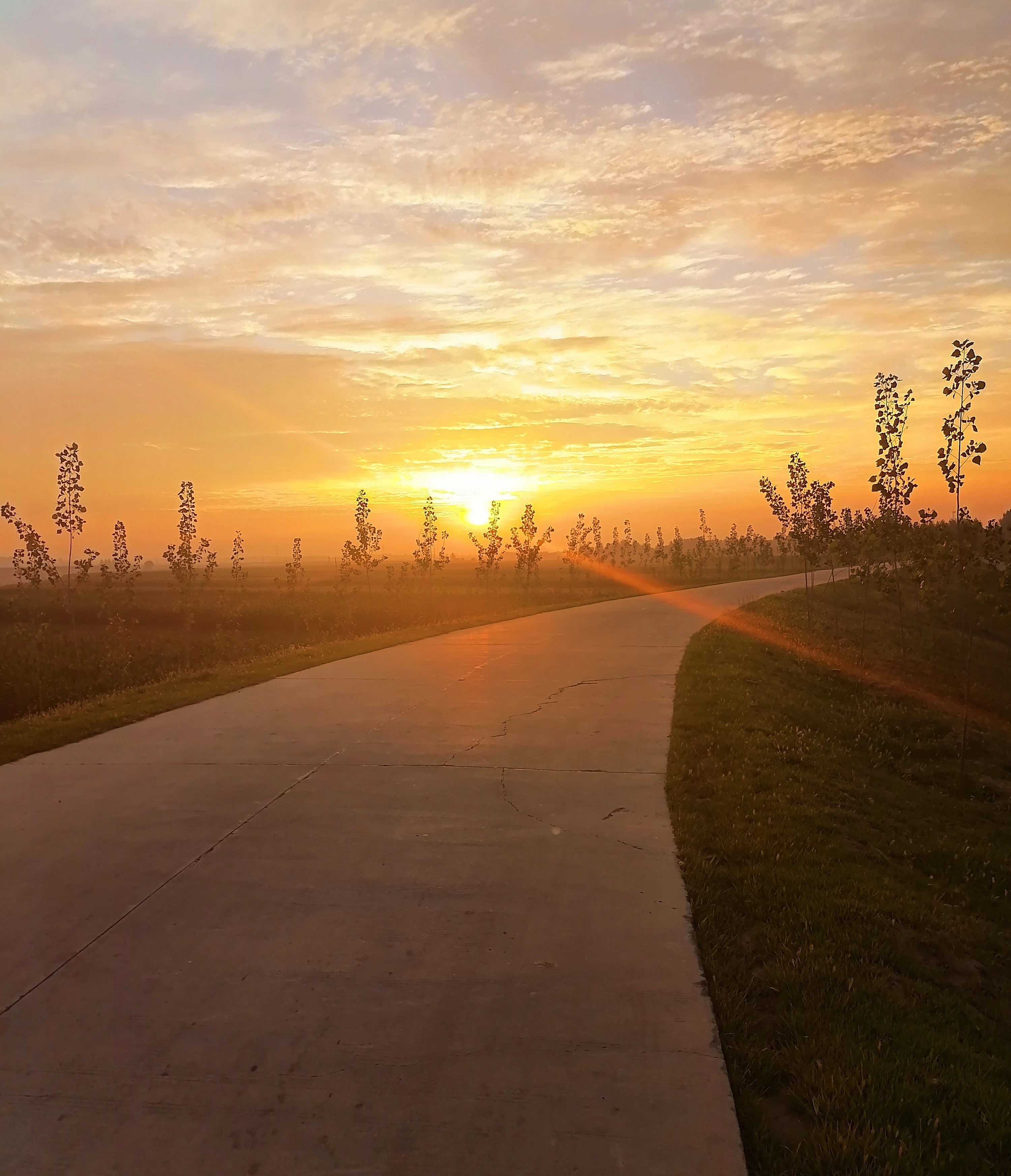 千里堤旁的静谜与壮阔