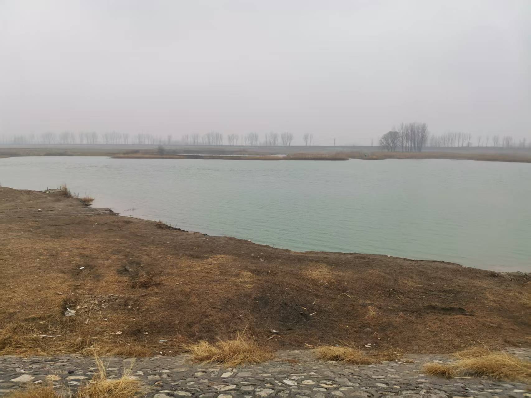 千里堤旁的静谜与壮阔